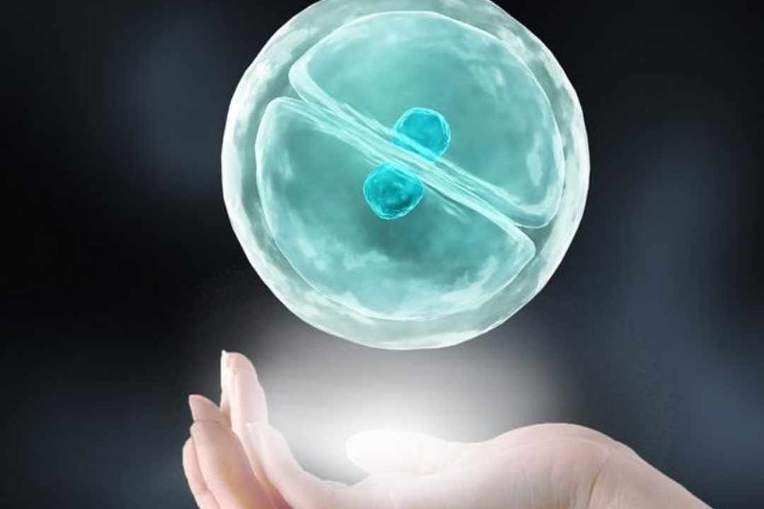 供卵宝宝满月脸上湿疹怎么办